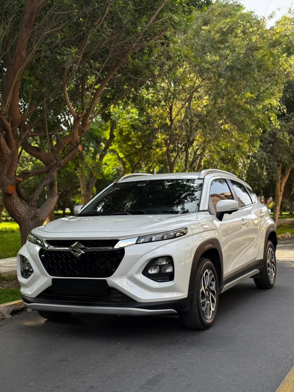 SUZUKI - 1