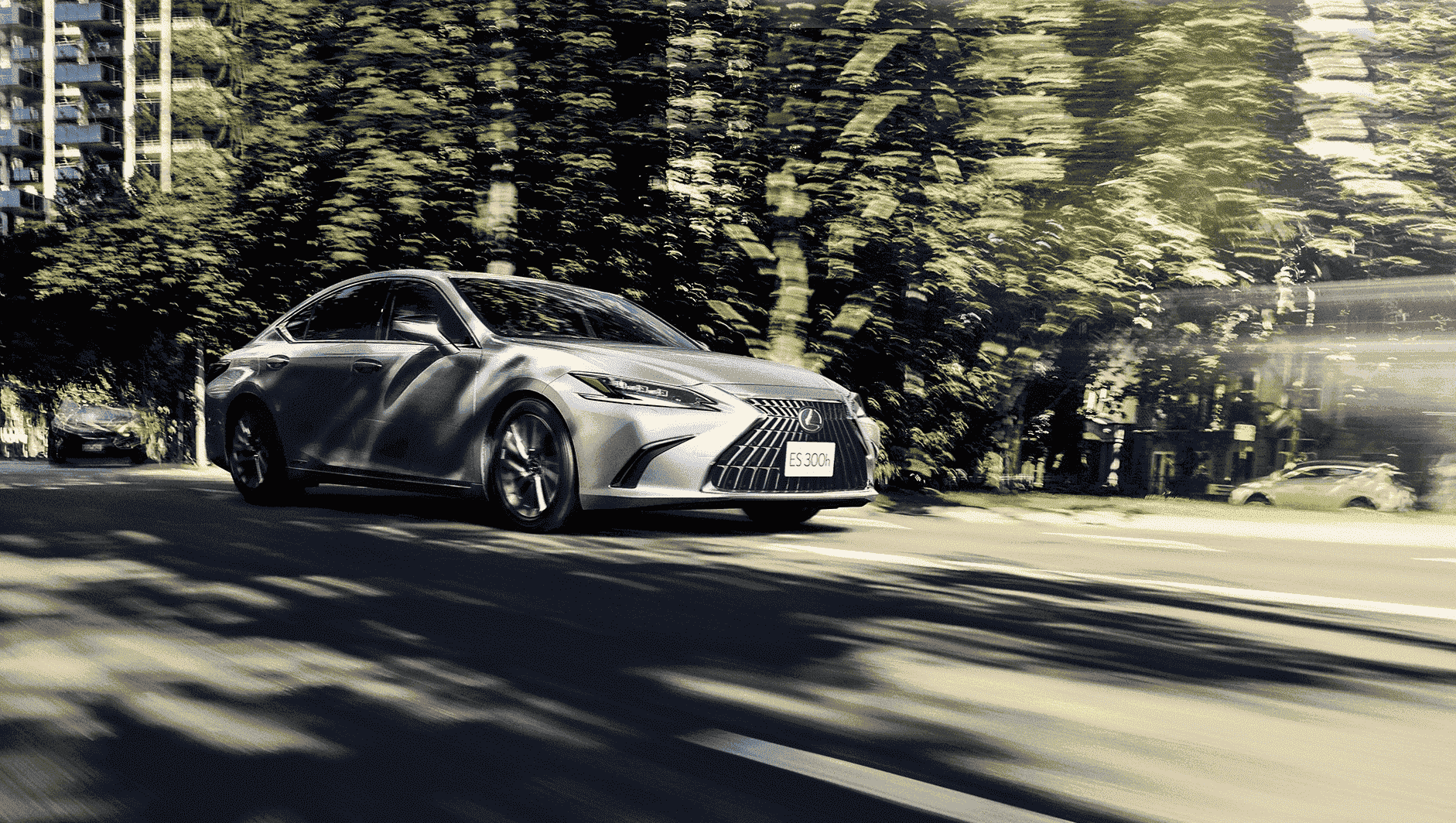 LEXUS - 8