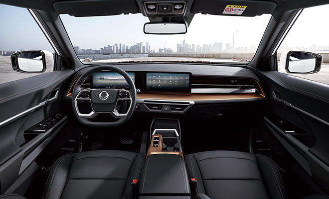 SSANGYONG - 1